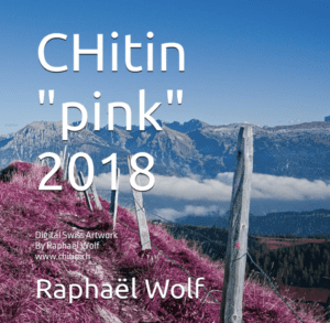 Book CHitin pink swiss artwork photography by Raphael Wolf Switzerland