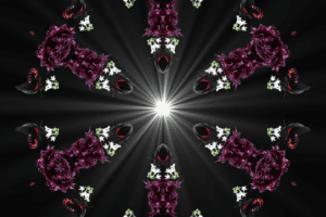 Butterfly black red Digital Artist Raphael Wolf Zürich Schweiz