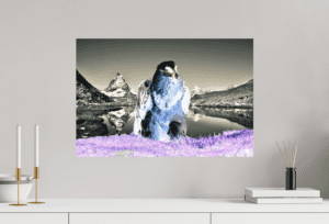 Swiss Artwork Photography by Raphaël Zurich Switzerland Wolf Matterhorn & Vulture Purple