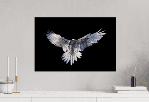 Swiss Artwork Photography by Raphaël Zurich Switzerland Wolf Dark Art Bearded Vulture