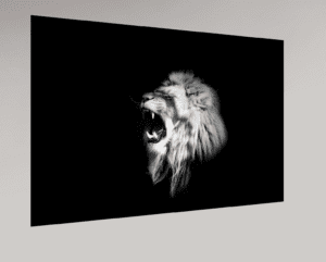 Swiss Artwork Photography by Raphaël Zurich Switzerland Wolf Dark Art Lion The Cry