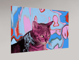 Swiss Artwork Photography by Raphaël Zurich Switzerland Wolf Psychedelic cat