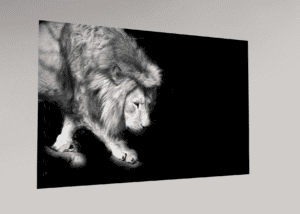 Swiss Artwork Photography by Raphaël Zurich Switzerland Wolf Dark Art Lion On Silken Paws