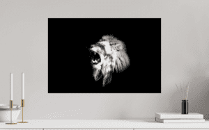 Swiss Artwork Photography by Raphaël Zurich Switzerland Wolf Dark Art Lion The Cry