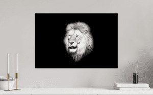 Swiss Artwork Photography by Raphaël Zurich Switzerland Wolf Dark Art Lion The Licking Snout