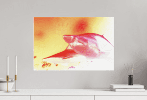 Swiss Artwork Photography by Raphaël Zurich Switzerland Wolf Shark Red