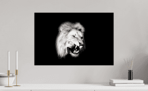 Swiss Artwork Photography by Raphaël Zurich Switzerland Wolf Dark Art The Hungry Lion