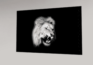 Swiss Artwork Photography by Raphaël Zurich Switzerland Wolf Dark Art The Hungry Lion