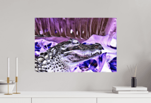 Swiss Artwork by Raphaël Wolf Zurich Crocodile Purple