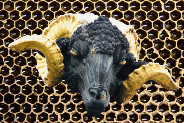 Swiss Artwork by Raphaël Wolf Zurich Aries & Honeycombs