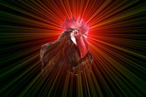 Swiss Artwork by Raphaël Wolf Zurich Rooster Power Red