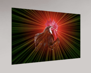 Swiss Artwork by Raphaël Wolf Zurich Rooster Power Red