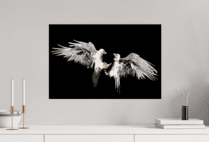 Swiss Artwork by Raphaël Wolf Zurich Clash of the Titans black Bearded vulture