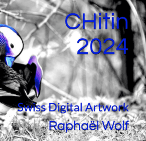 CHitin 2024 vom Zürcher Digatal Artist Raphaël Wolf