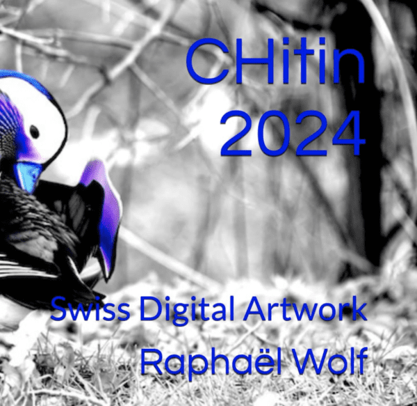 CHitin 2024 vom Zürcher Digatal Artist Raphaël Wolf