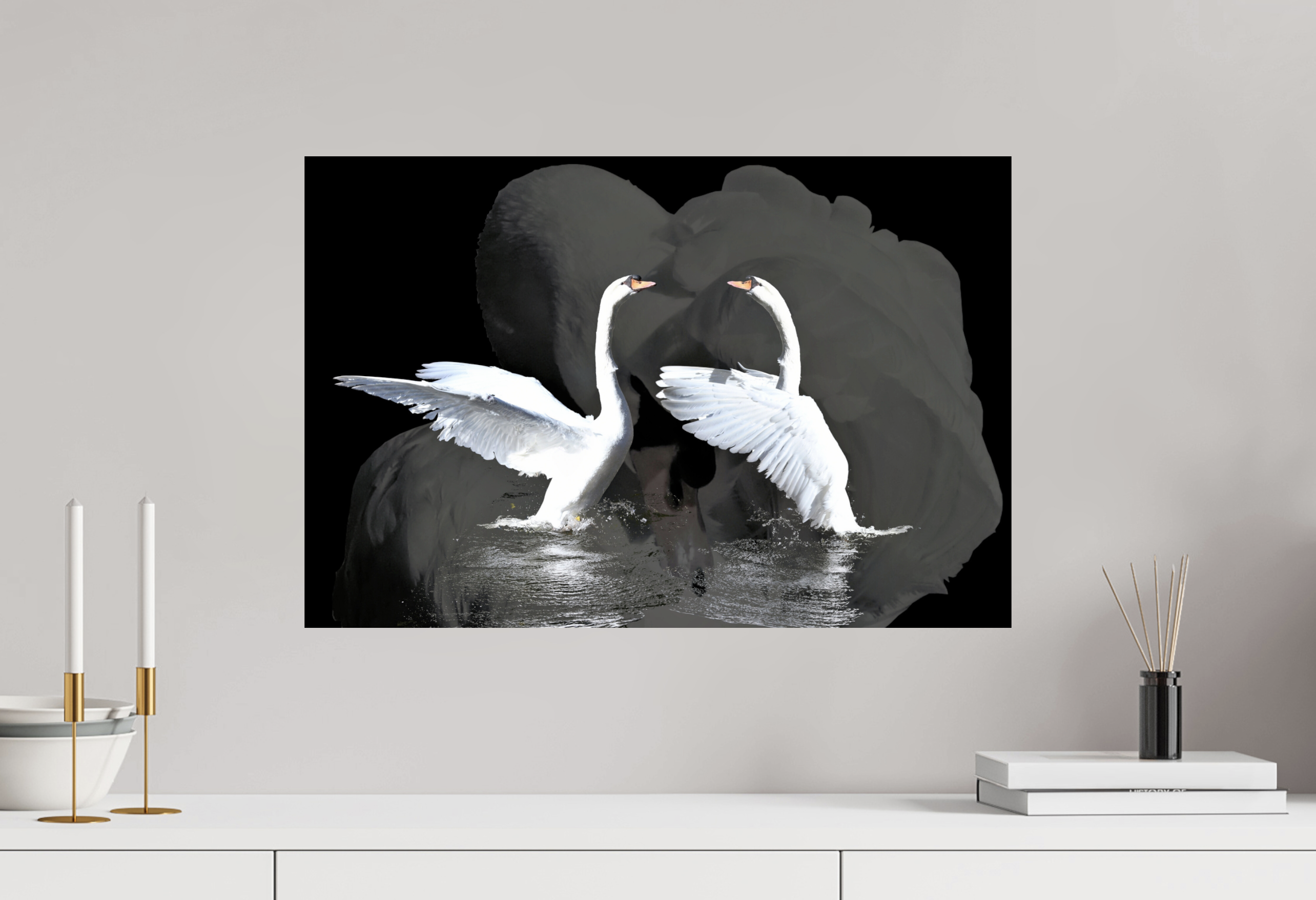 Swiss Artwork by Raphaël Wolf Zurich The Art Of Swan Ballet 9